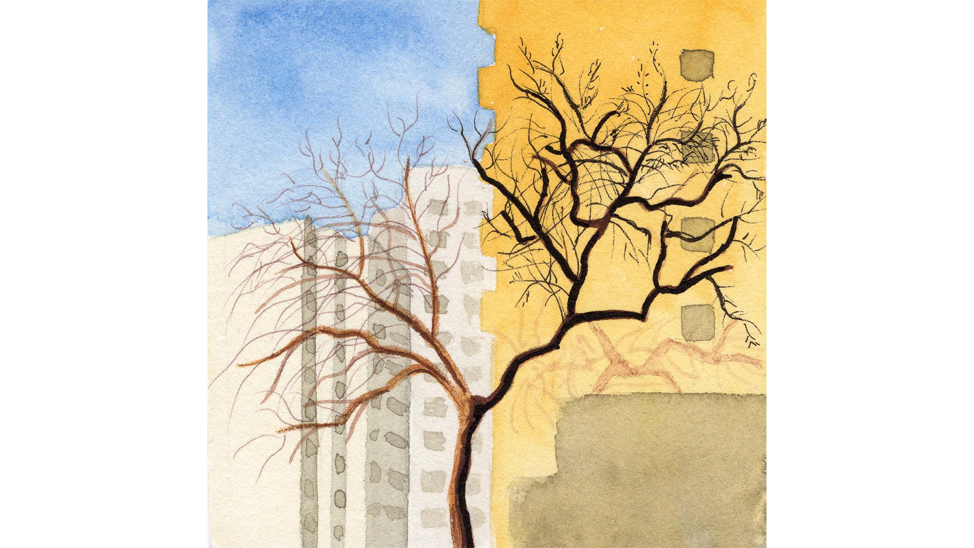 Un copac urban, o speranta printre blocuri