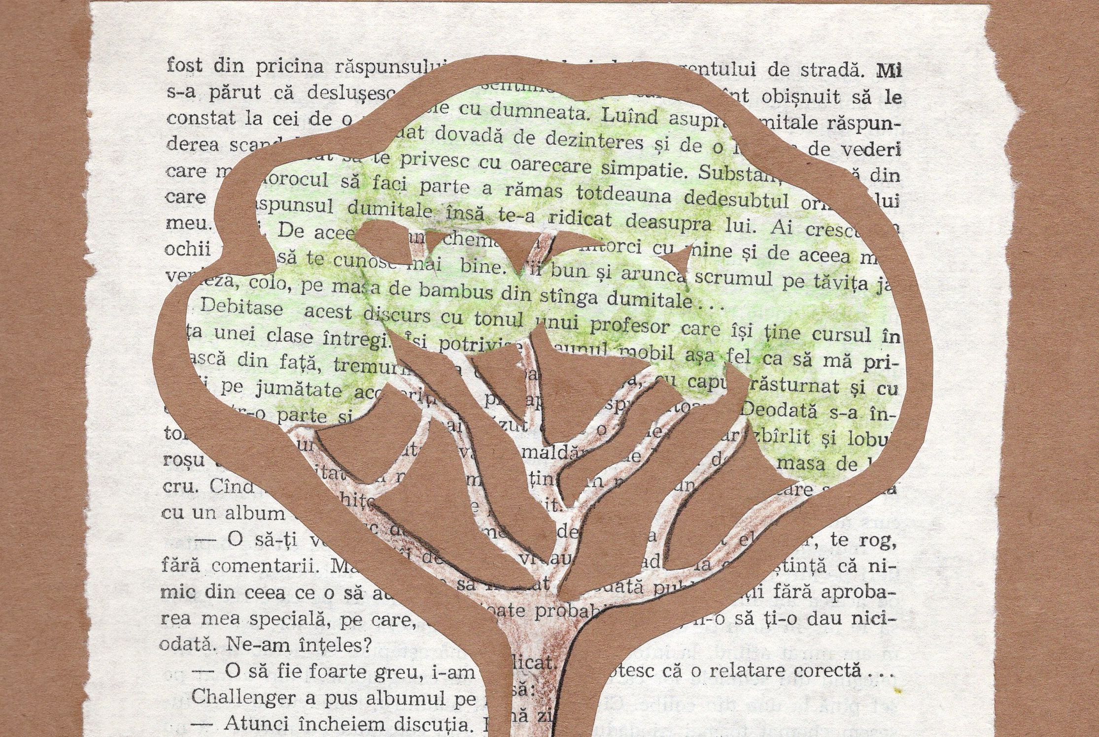 Copacii Biblioteca despre copaci și păduri - Copaci și păduri